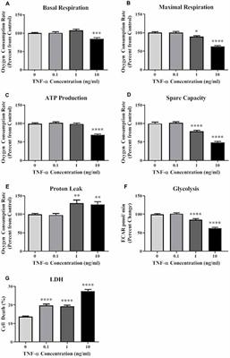 Extracellular Vesicles Secreted in Response to Cytokine Exposure Increase Mitochondrial Oxygen Consumption in Recipient Cells